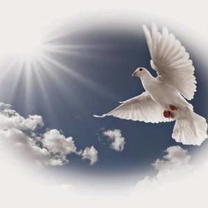 Meet your Posher, Flint